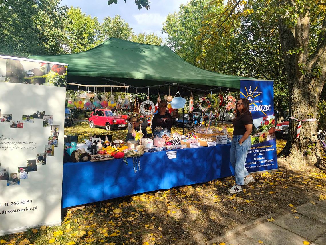 Ponad 50 organizacji na V Festiwalu Ponad 50 organizacji na V Festiwalu