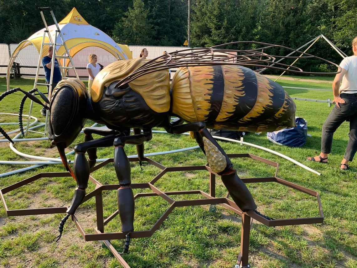 Pszczelarze i miłośnicy pszczelego dzieła spotkają się w Bałtowie