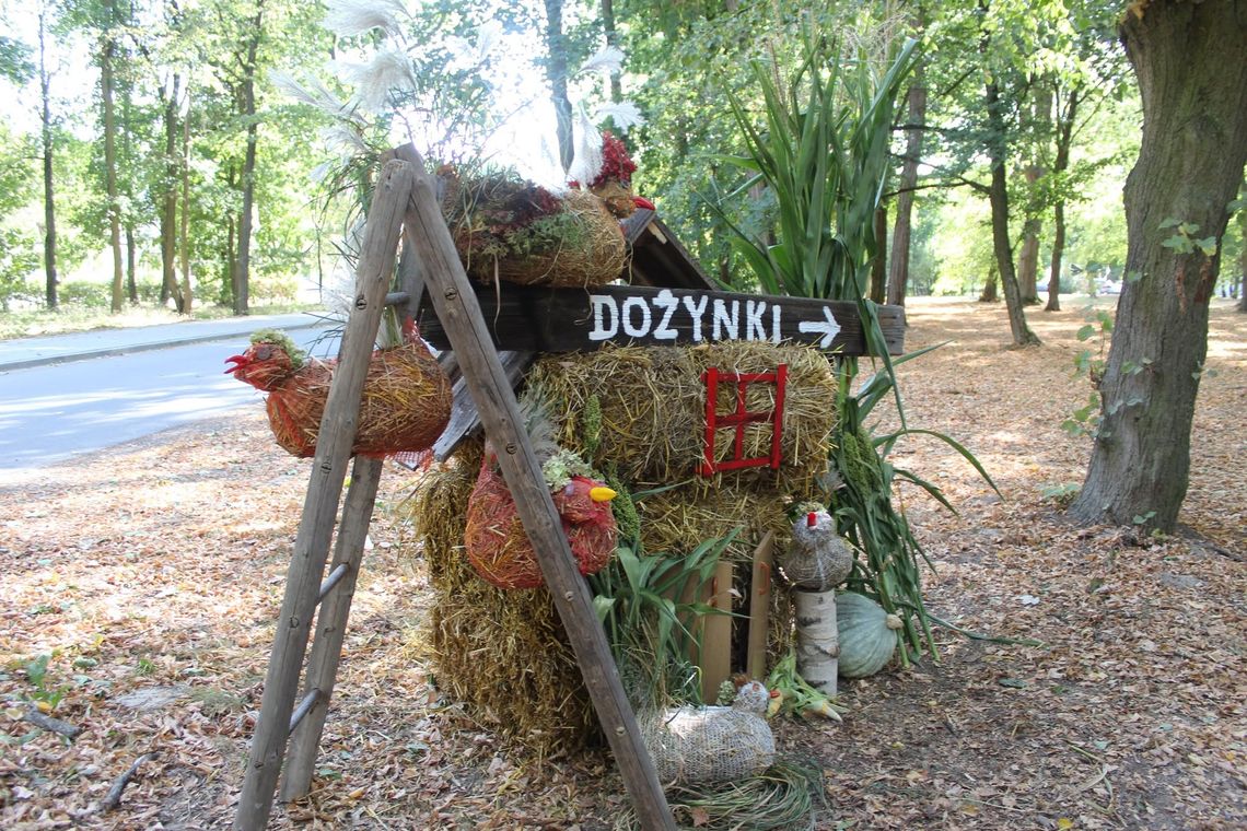 Rolnicy z gminy Bałtów podziękują za plony