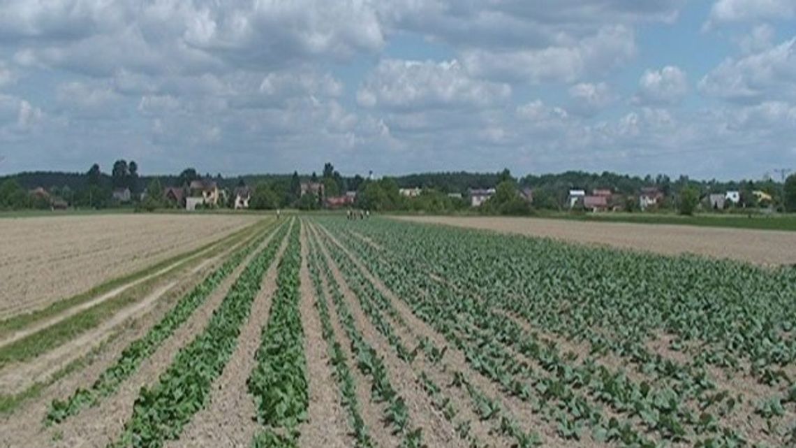 Rozsądnie wybierajmy pracę sezonową