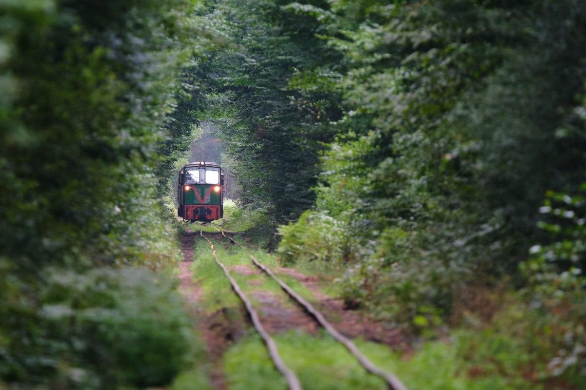 Starachowicka Kolej Wąskotorowa wraca na tory Starachowicka Kolej Wąskotorowa wraca na tory