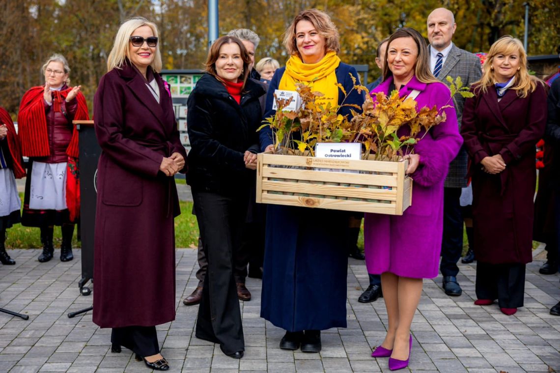 Tysiąc dębów na Tysiąclecie Koronacji: w Świętokrzyskiem sadzą potomków Dębu Bartka dla pamięci i klimatu Tysiąc dębów na Tysiąclecie Koronacji: w Świętokrzyskiem sadzą potomków Dębu Bartka dla pamięci i klimatu