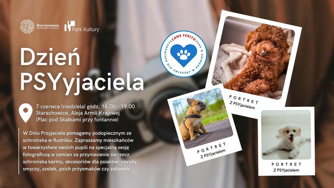 Zrób zdjęcie i pomóż! PSYjaciele czekają na Ciebie Zrób zdjęcie i pomóż! PSYjaciele czekają na Ciebie