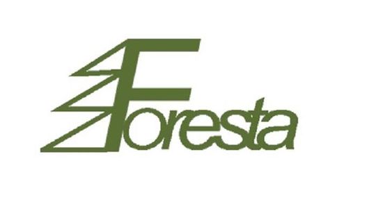 Foresta Place Zabaw Foresta Place Zabaw