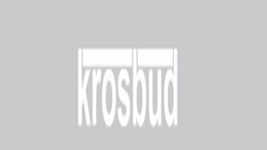 Krosbud- domy keramzytowe