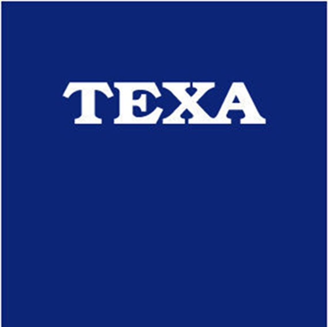 Texa Poland – nowoczesne systemy diagnostyczne dla warsztatów