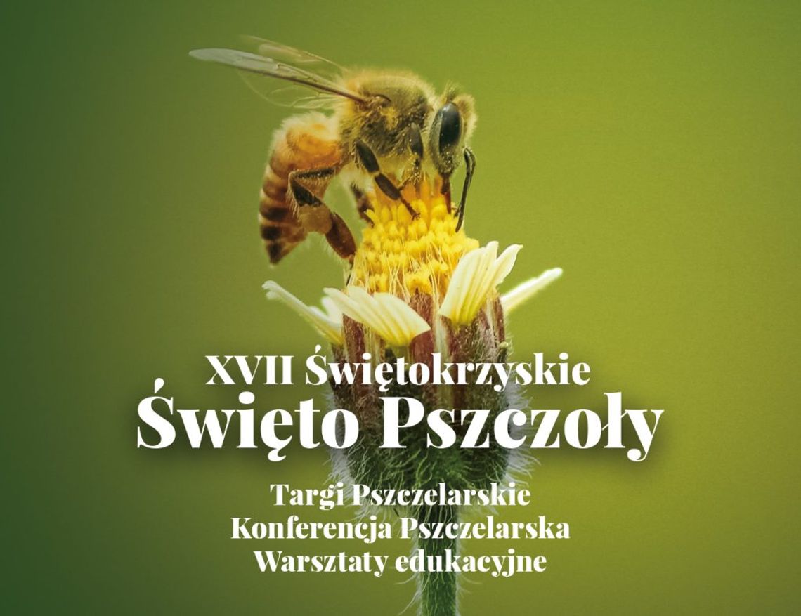 XVII Święto Pszczoły w Bałtowie XVII Święto Pszczoły w Bałtowie